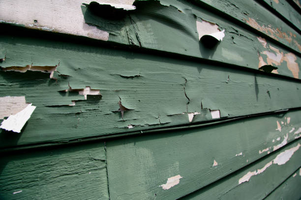 Historical Building Siding Restoration in Benton Harbor, MI